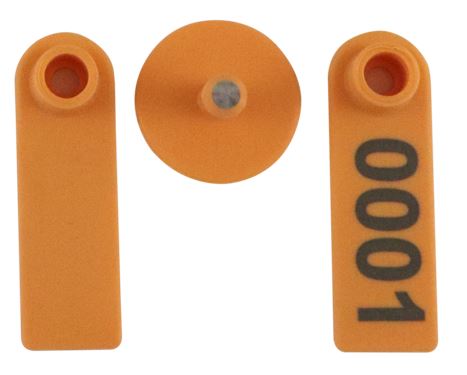 Brinco Pequeno Laranja Tip Top com Macho