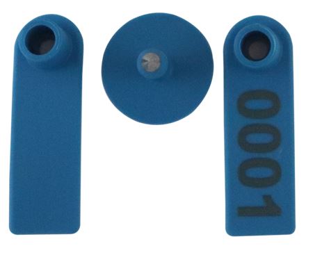 Brinco Pequeno Azul Tip Top com Macho