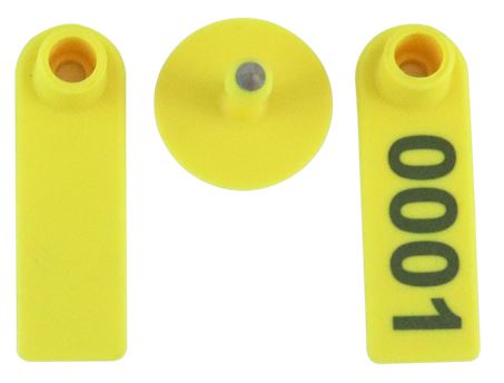 Brinco Pequeno Amarelo Tip Top com Macho