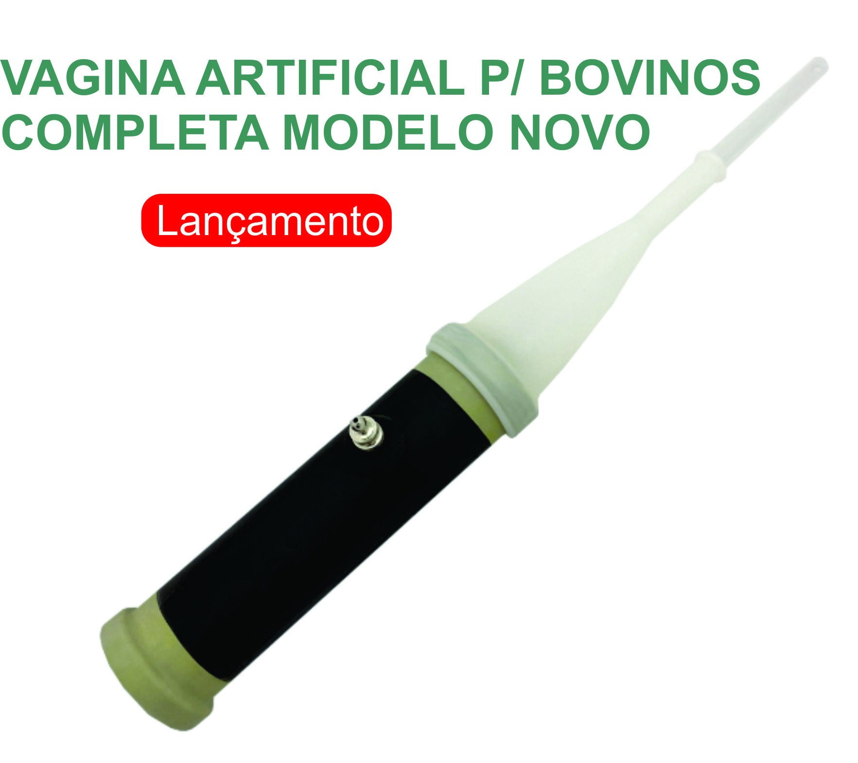 Banner categoria