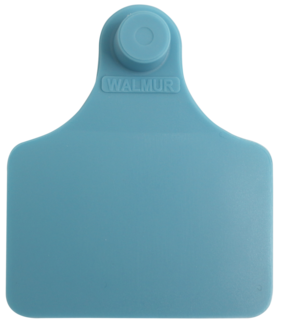 Brinco Grande Azul sem Marcação