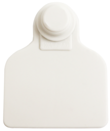 Brinco Médio Branco sem Marcação