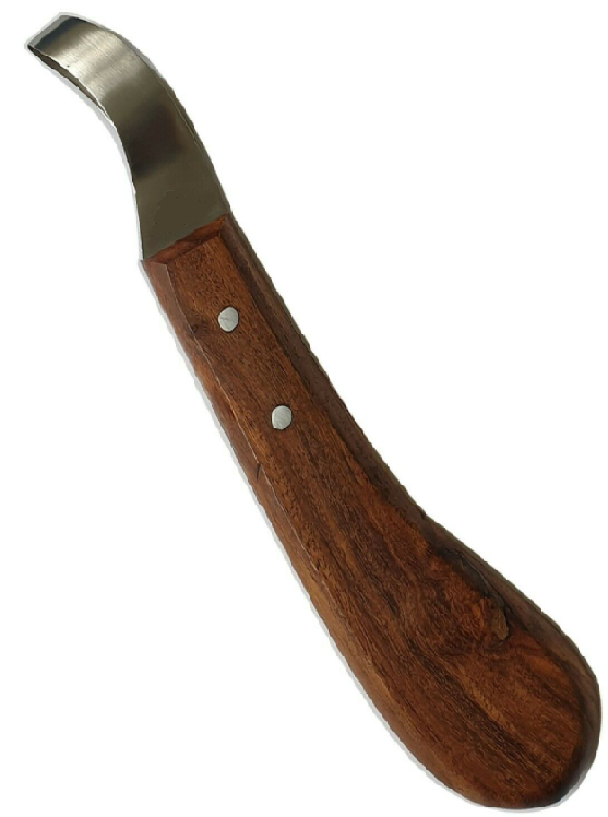 RINETA OVAL PEQUENA