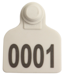 Brinco Médio Branco com Marcação