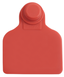 Brinco Médio Vermelho sem Marcação