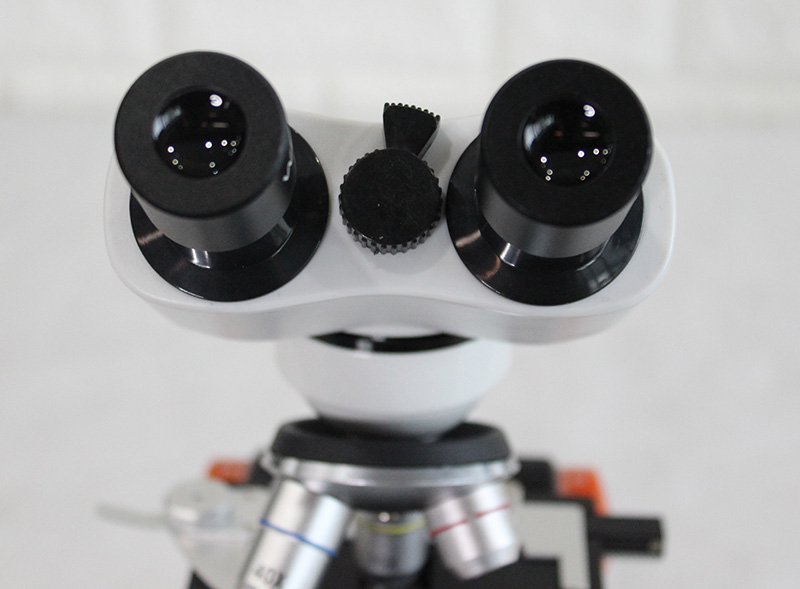 MICROSCOPIO BINOCULAR 40X-400X