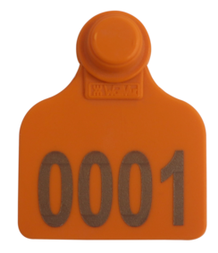 Brinco Médio Laranja com Marcação