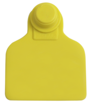 Brinco Médio Amarelo sem Marcação