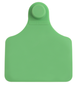 Brinco Grande Verde sem Marcação