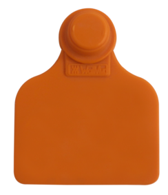 Brinco Médio Laranja sem Marcação