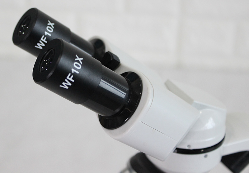MICROSCOPIO BINOCULAR 40X-400X