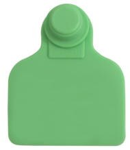 Brinco Médio Verde sem Marcação
