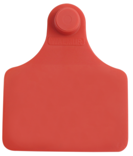 Brinco Grande Vermelho sem Marcação