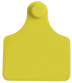 Brinco Grande Amarelo sem Marcação