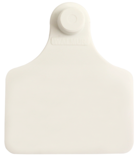 Brinco Grande Branco sem Marcação