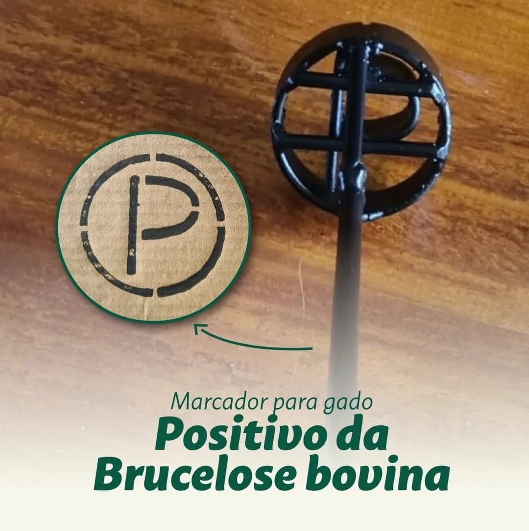 CARIMBO MARCA P POSITIVO PARA BRUCELOSE EM AÇO MODULAR