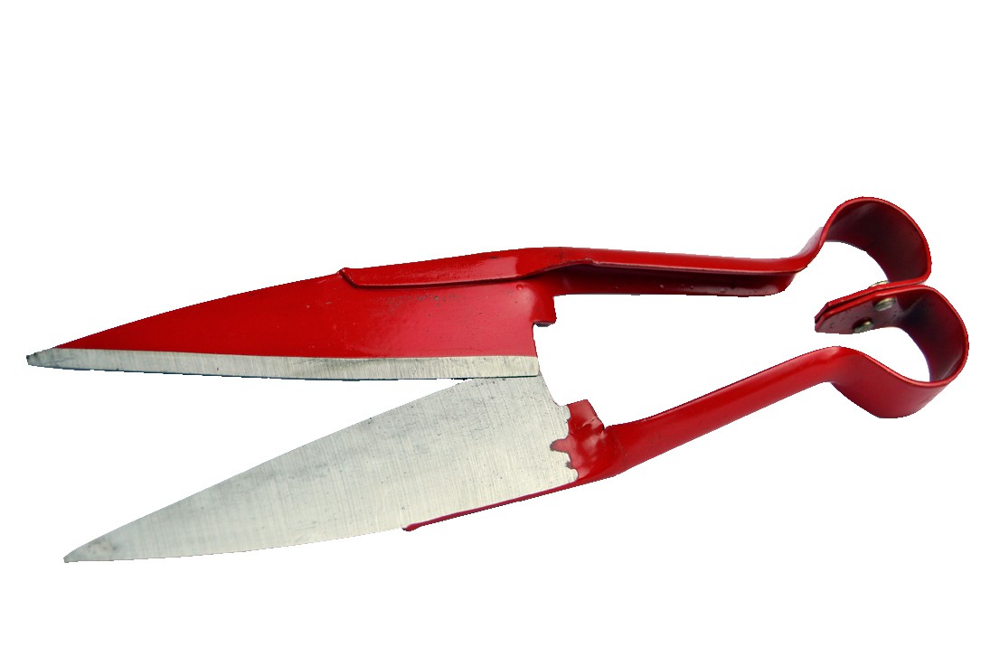 TESOURA P/ TOSQUIAR 13" - 35CM
