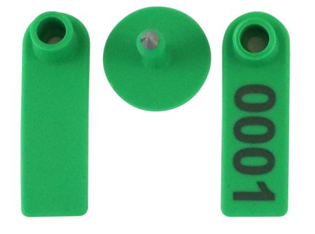 Brinco Pequeno Verde Tip Top com Macho