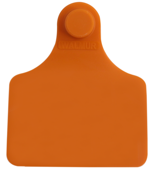 Brinco Grande Laranja sem Marcação