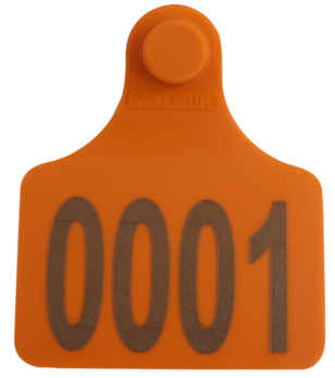 Brinco Grande Laranja com Marcação