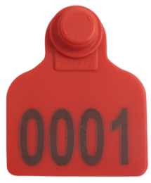 Brinco Médio Vermelho com Marcação