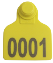 Brinco Médio Amarelo com Marcação