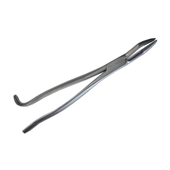BOTICÃO EXODONTIA PARA INCISIVO 10"
