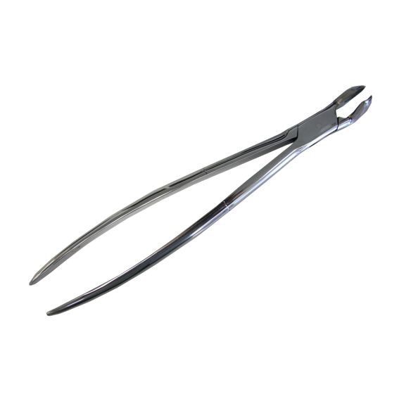 BOTICÃO EXODONTIA PARA MOLAR E INCISIVO 14"